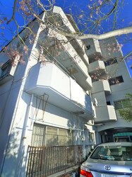 VILLA SUNNEYSIDEの物件外観写真